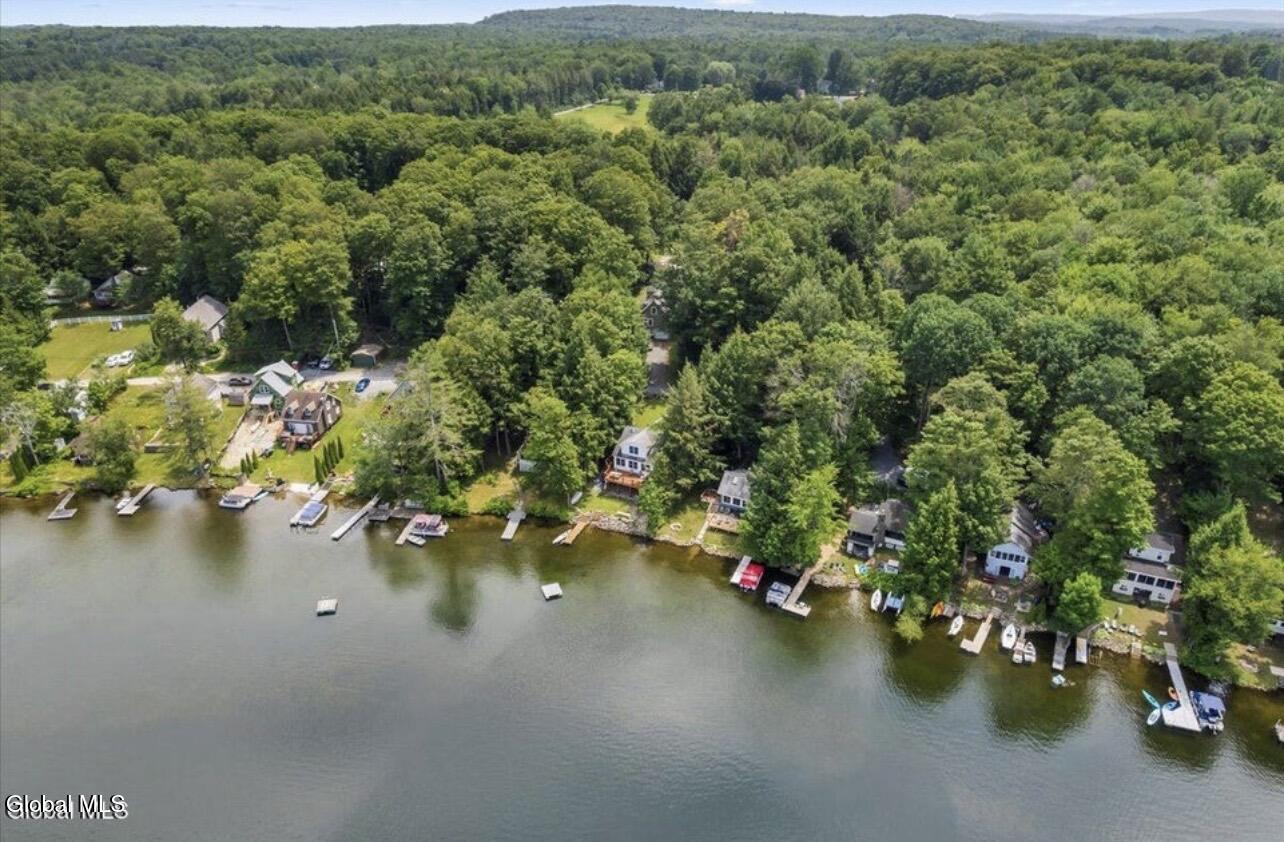 3004 South Shore Drive Hagaman NY 12086