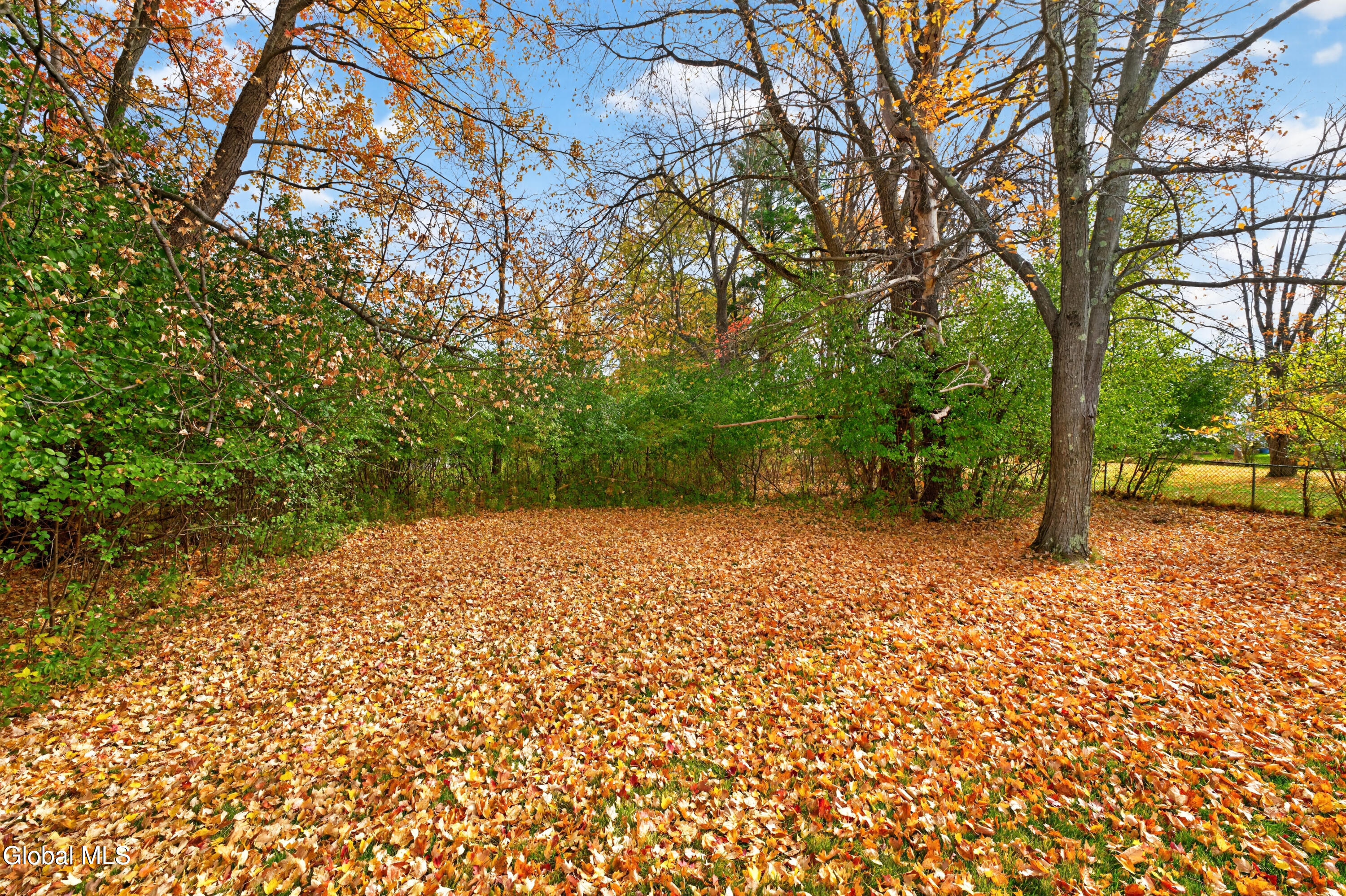 11 S Doorstone Drive Latham NY 12110