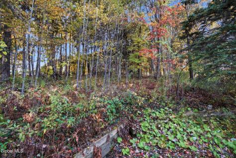 6 Ashford Lane Schenectady NY 12309
