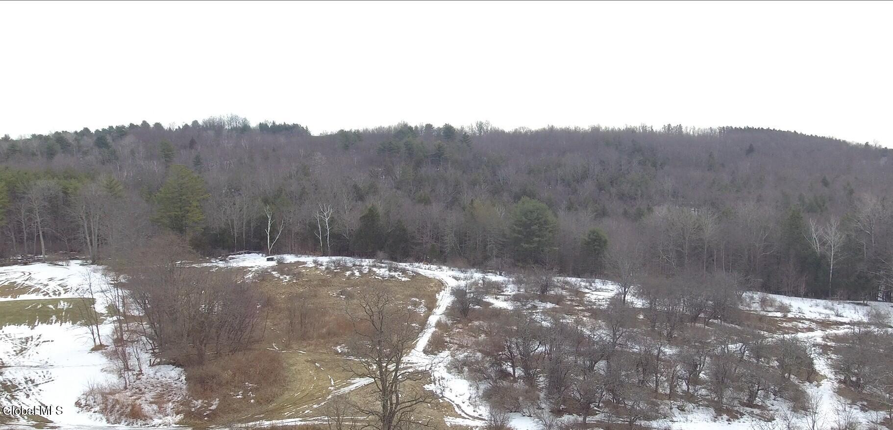 881 Route 402 Westerlo NY 12193