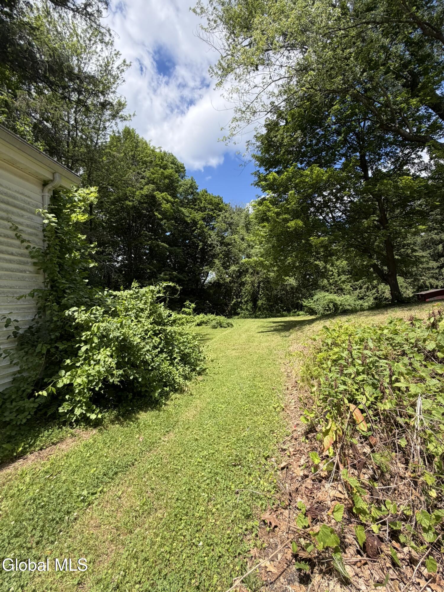 34 Hamilton Street Guilderland NY 12084