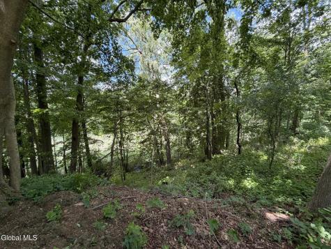 34 Hamilton Street Guilderland NY 12084