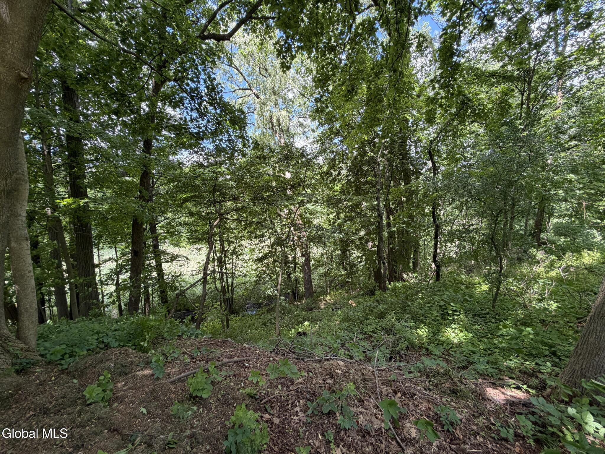 34 Hamilton Street Guilderland NY 12084