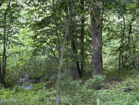 34 Hamilton Street Guilderland NY 12084