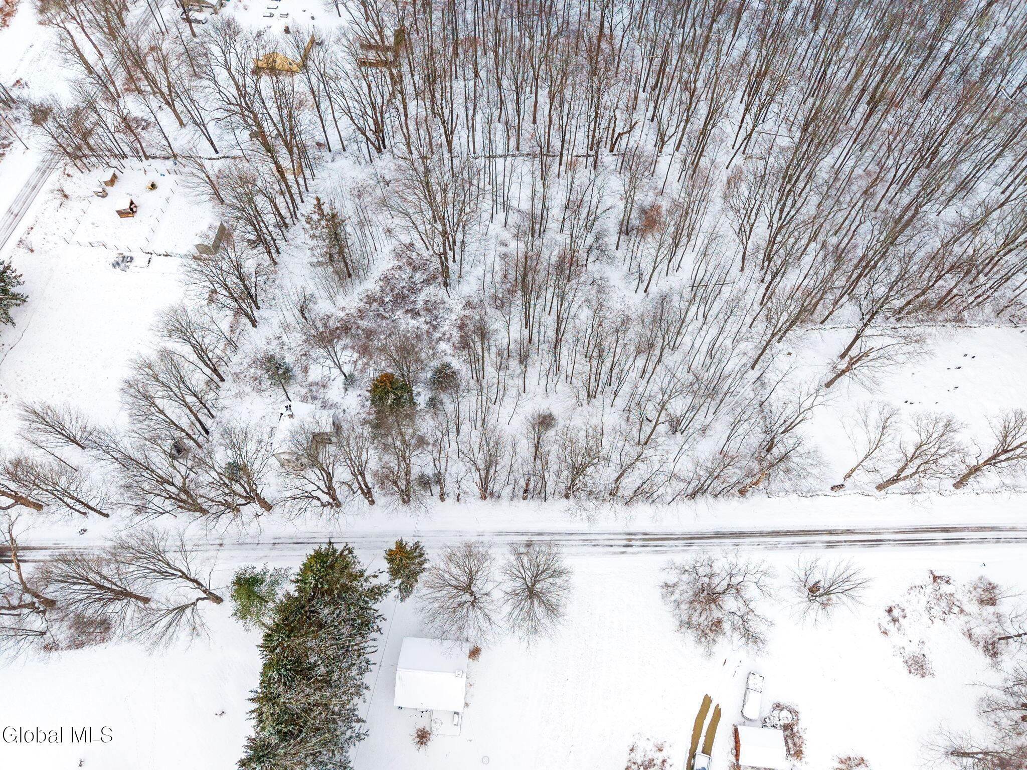 109 Rossman Hill Road Summit NY 12175