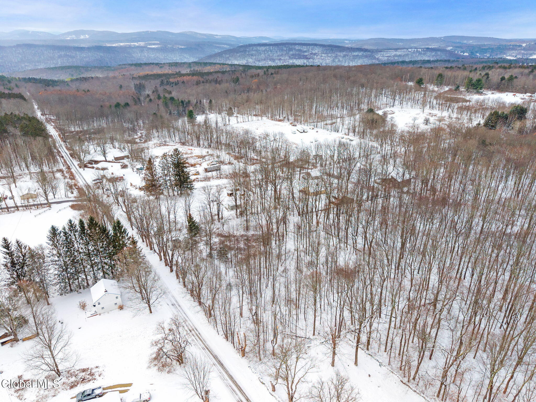 109 Rossman Hill Road Summit NY 12175