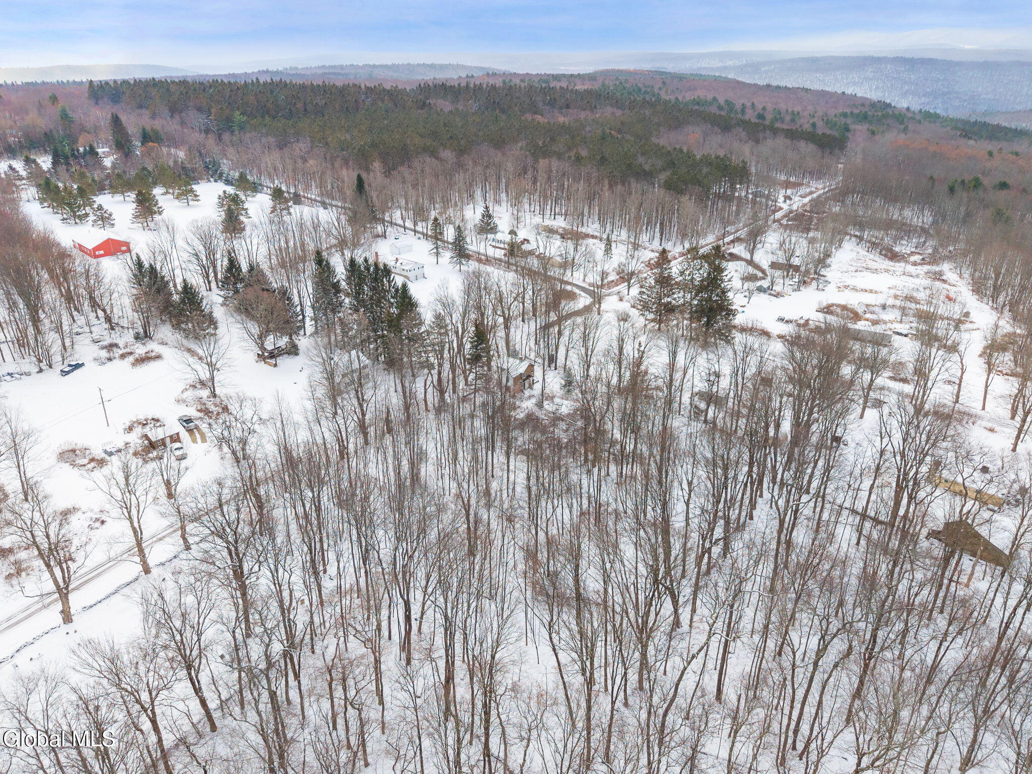 109 Rossman Hill Road Summit NY 12175