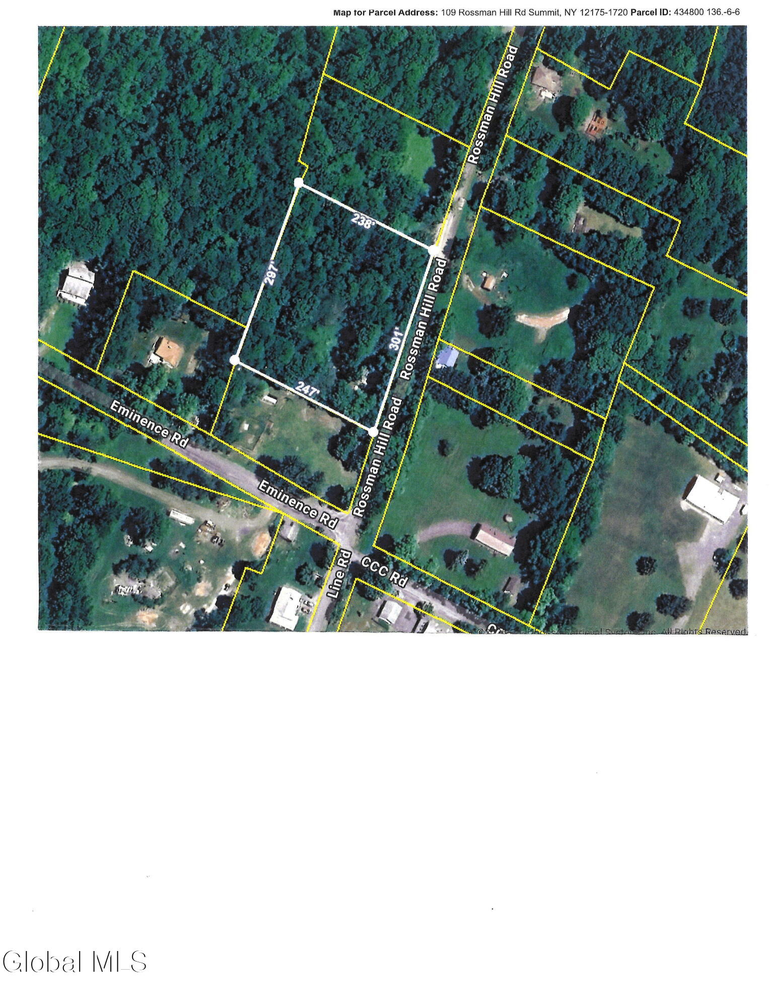 109 Rossman Hill Road Summit NY 12175
