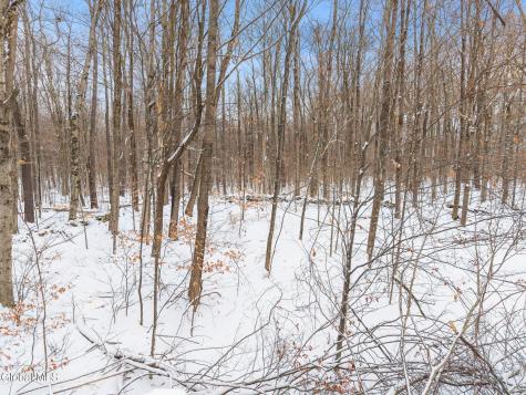 109 Rossman Hill Road Summit NY 12175