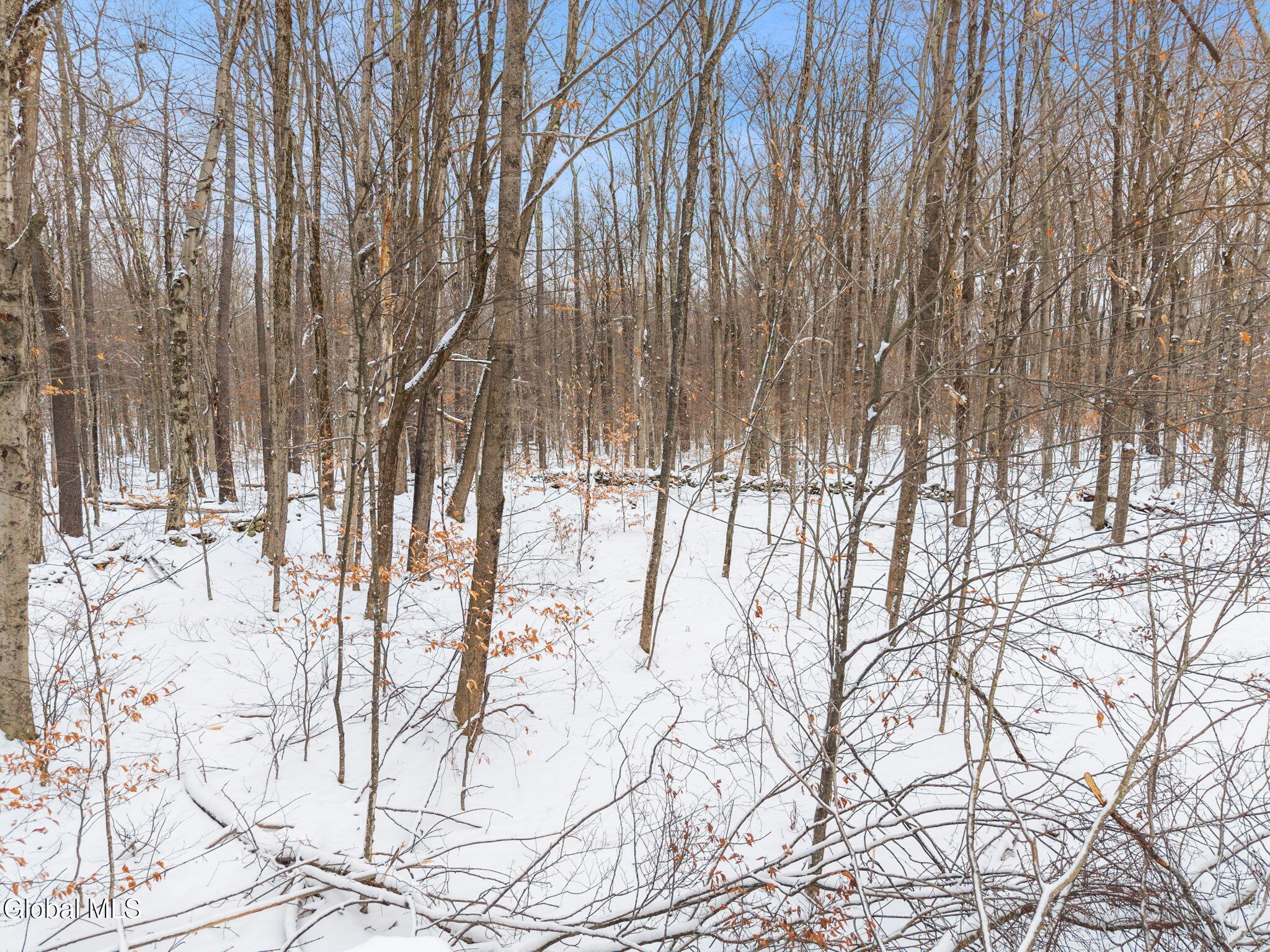 109 Rossman Hill Road Summit NY 12175