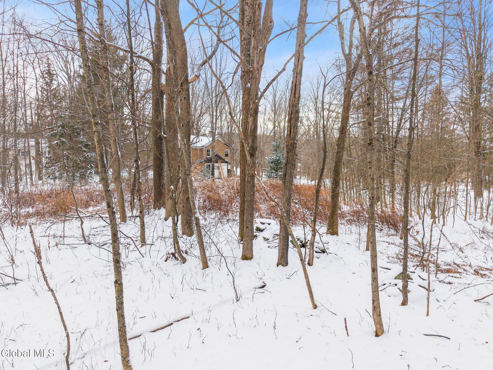 109 Rossman Hill Road Summit NY 12175