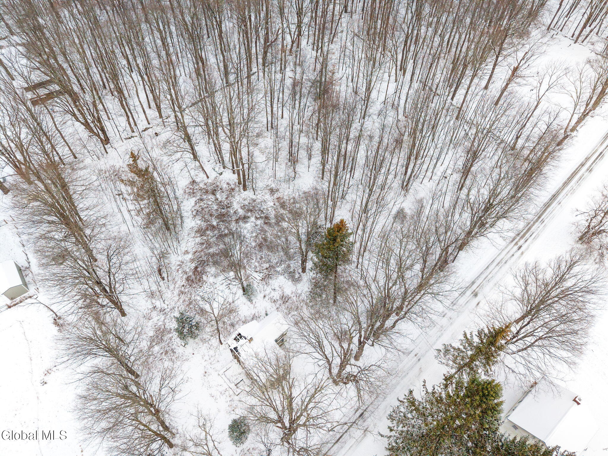 109 Rossman Hill Road Summit NY 12175