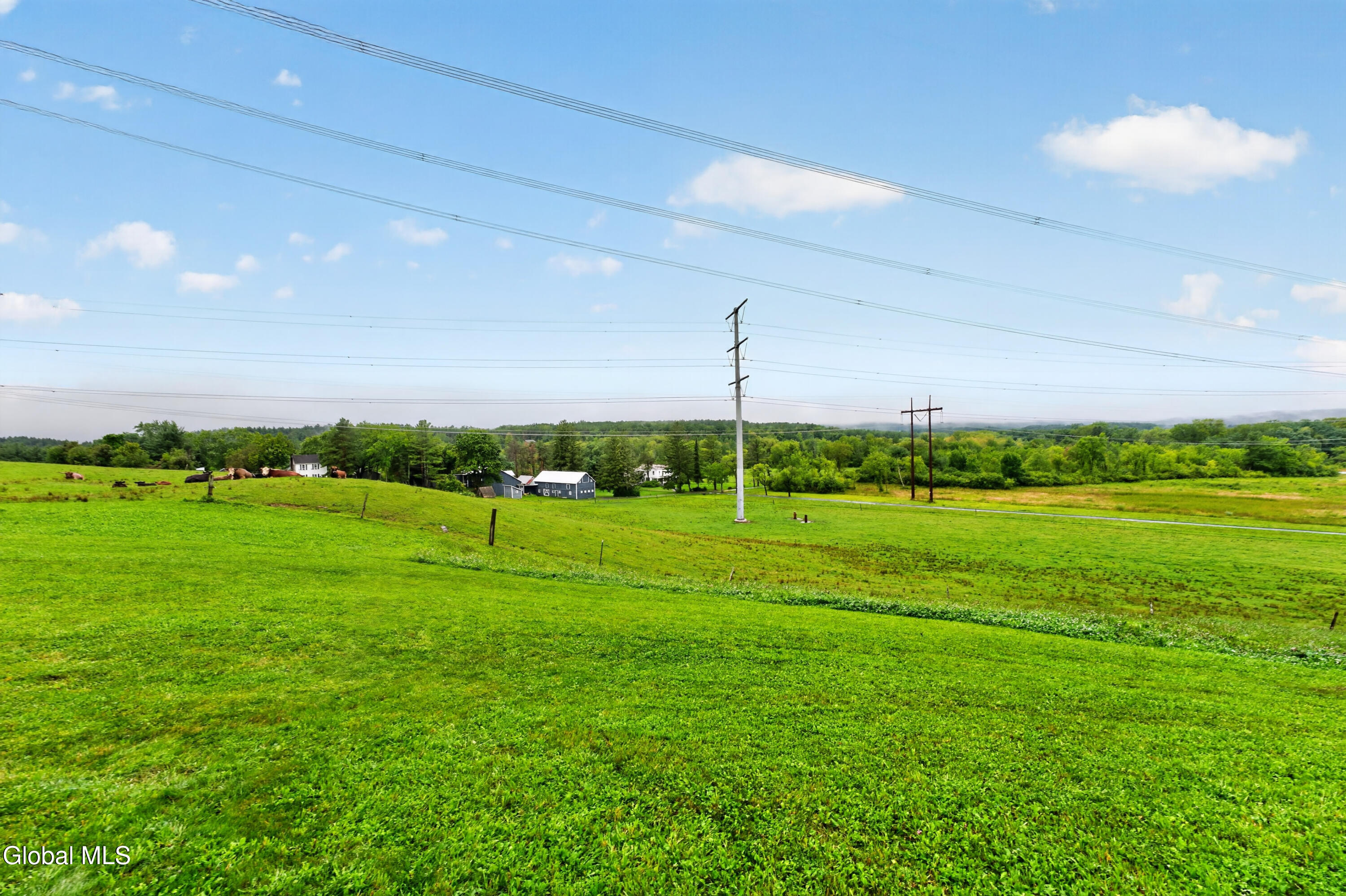 6373 Hawes Road Altamont NY 12009