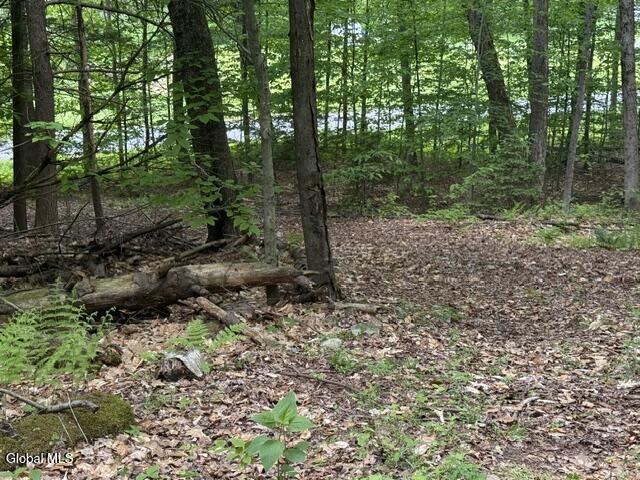 55 Hawk Road Queensbury NY 12846