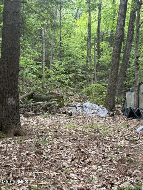 55 Hawk Road Queensbury NY 12846