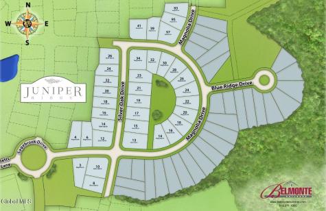 22 Magnolia Drive Halfmoon NY 12065