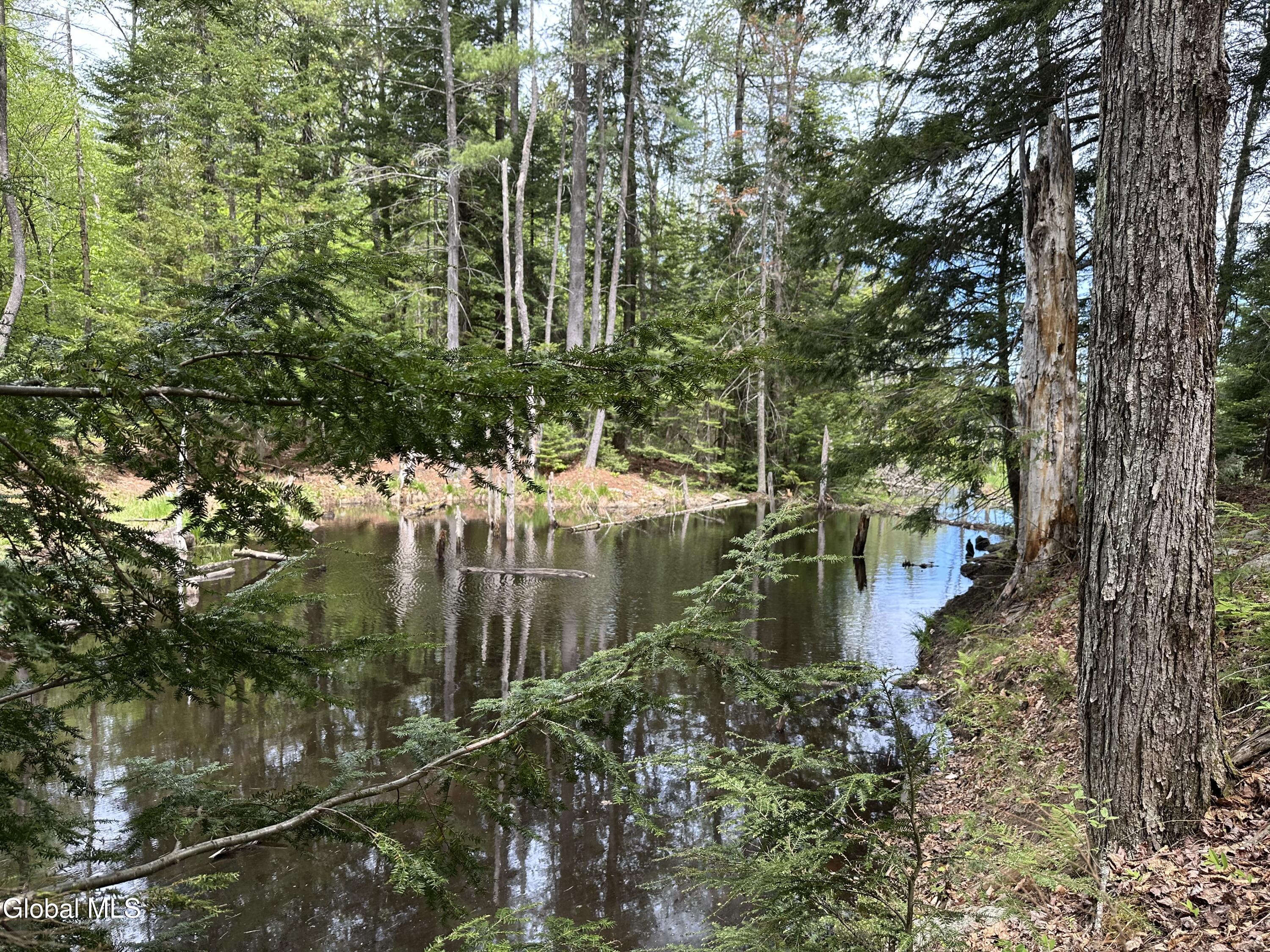 1070 Dartmouth Road Athol NY 12810