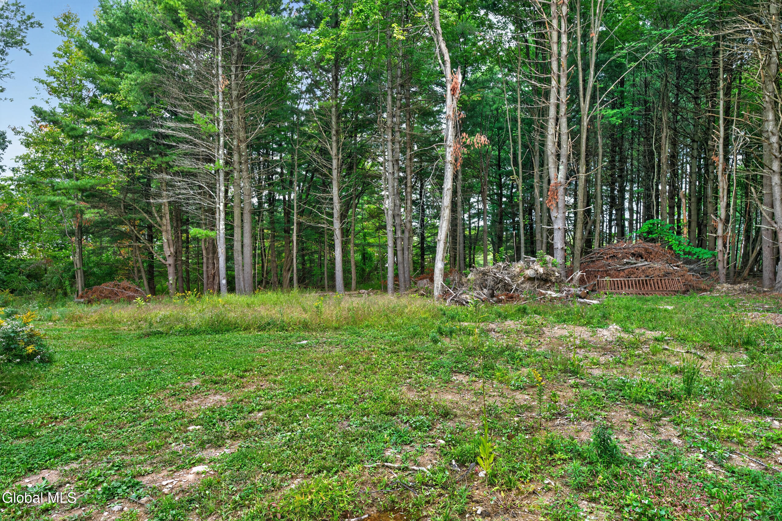 274 County Route 361 Rensselaerville NY 12083