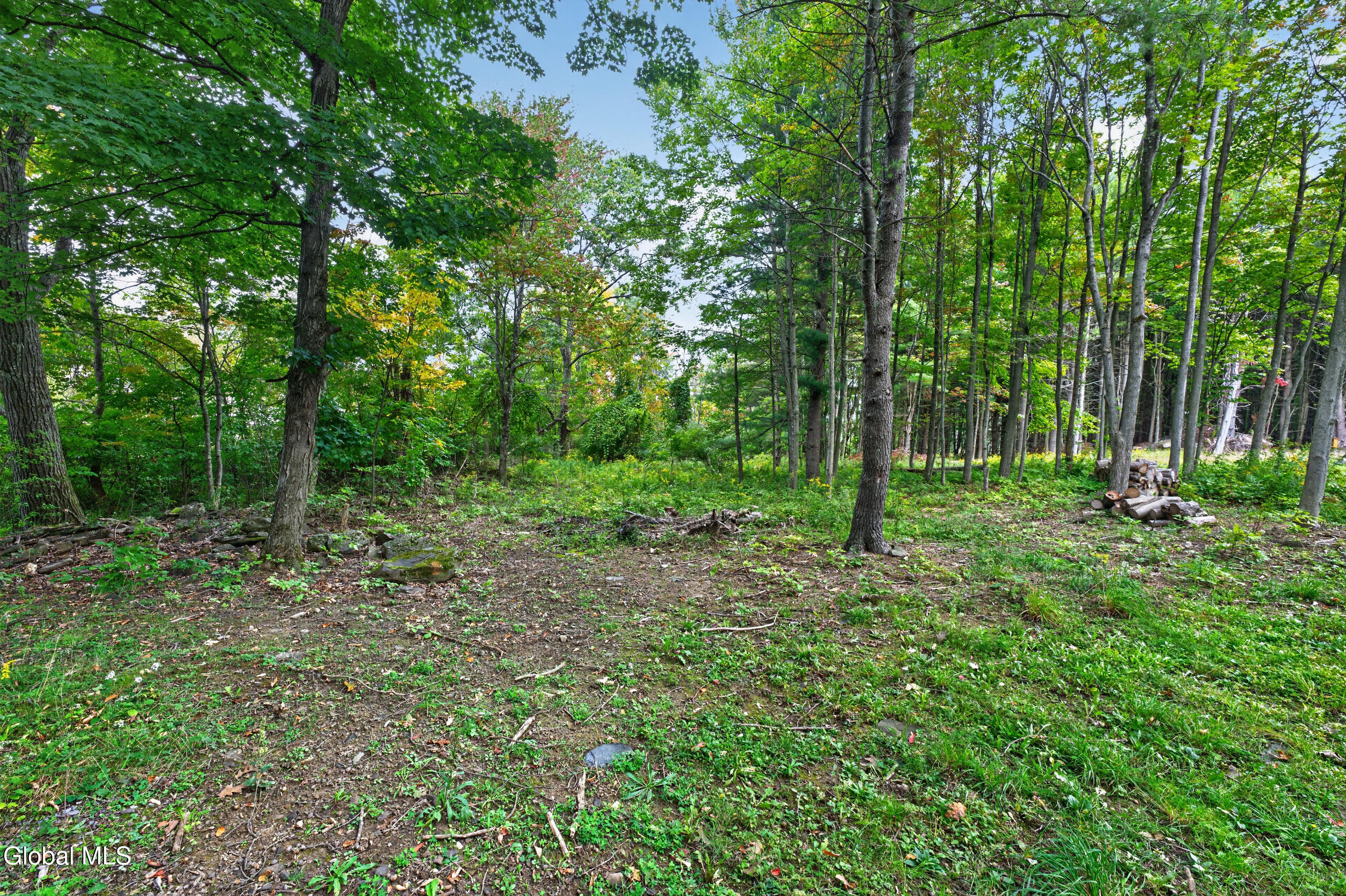 274 County Route 361 Rensselaerville NY 12083