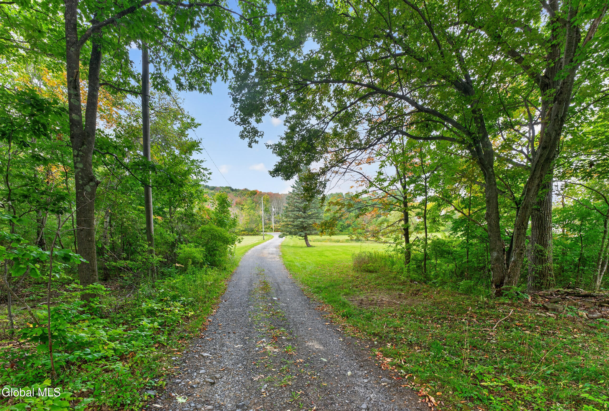 274 County Route 361 Rensselaerville NY 12083