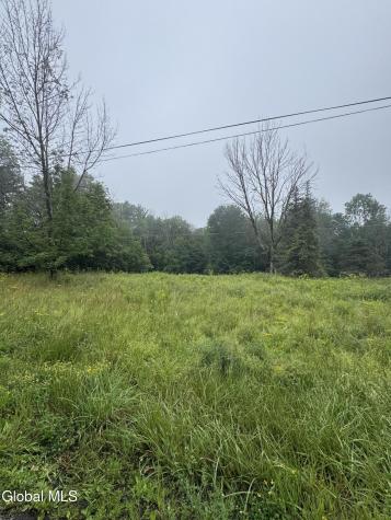 707 S Mountain Road Conesville NY 12076