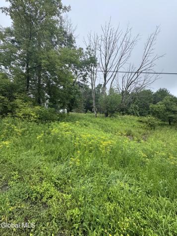 707 S Mountain Road Conesville NY 12076