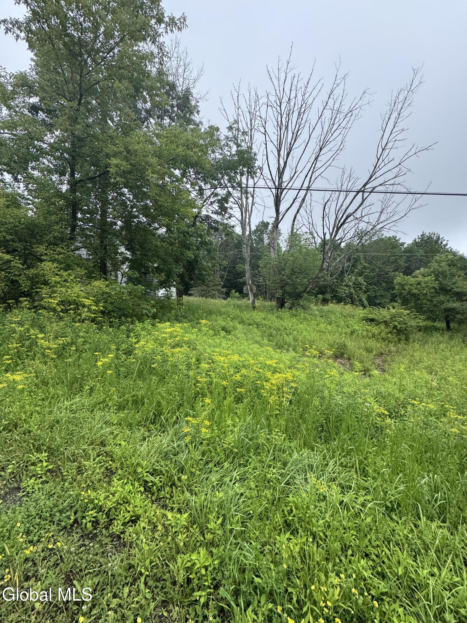 707 S Mountain Road Conesville NY 12076