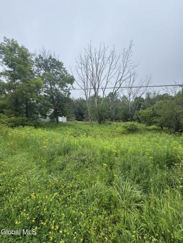 707 S Mountain Road Conesville NY 12076