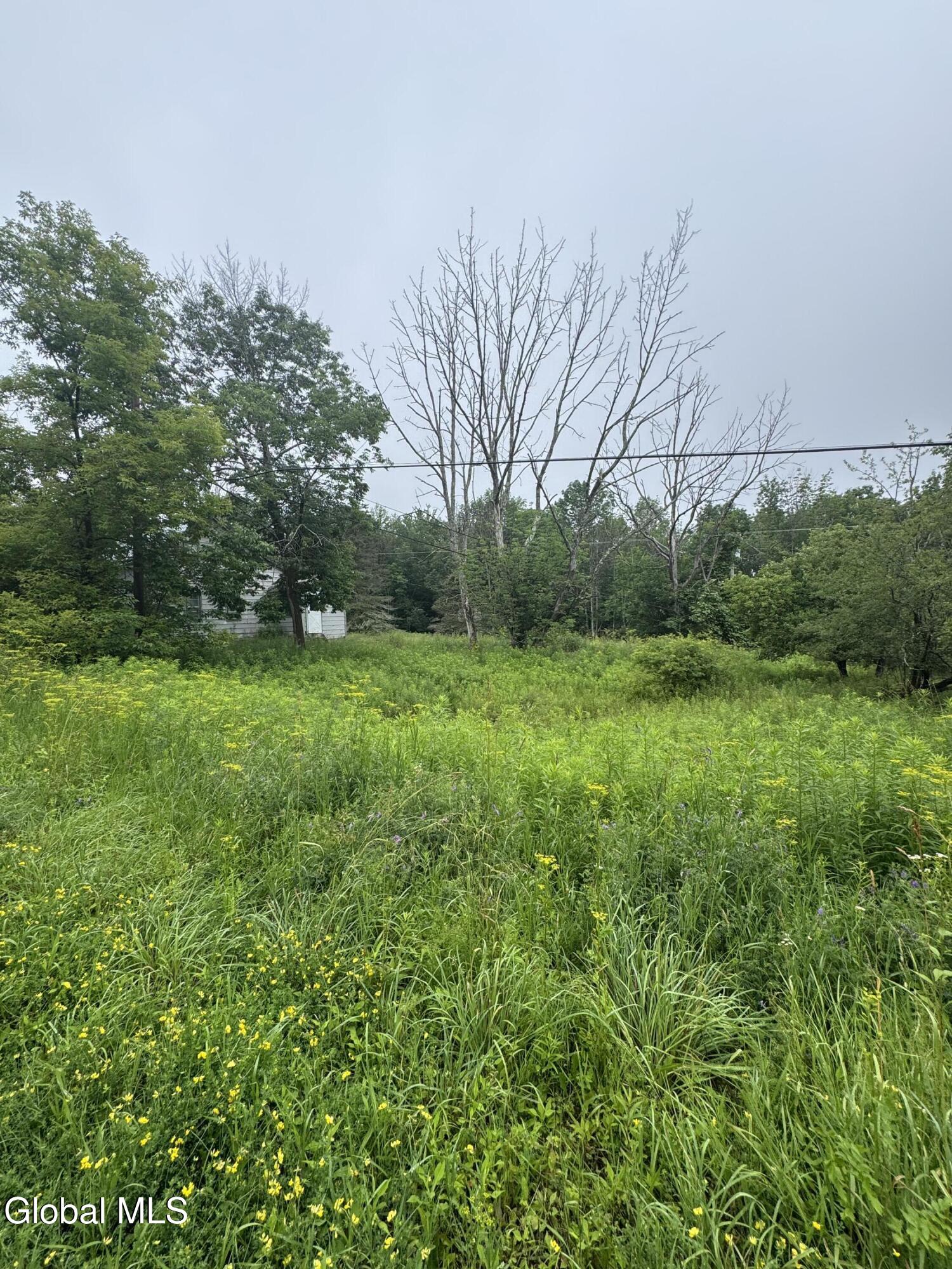 707 S Mountain Road Conesville NY 12076