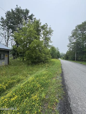 707 S Mountain Road Conesville NY 12076