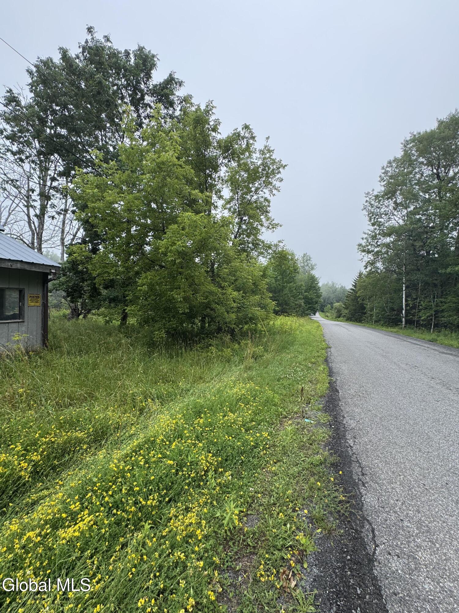 707 S Mountain Road Conesville NY 12076