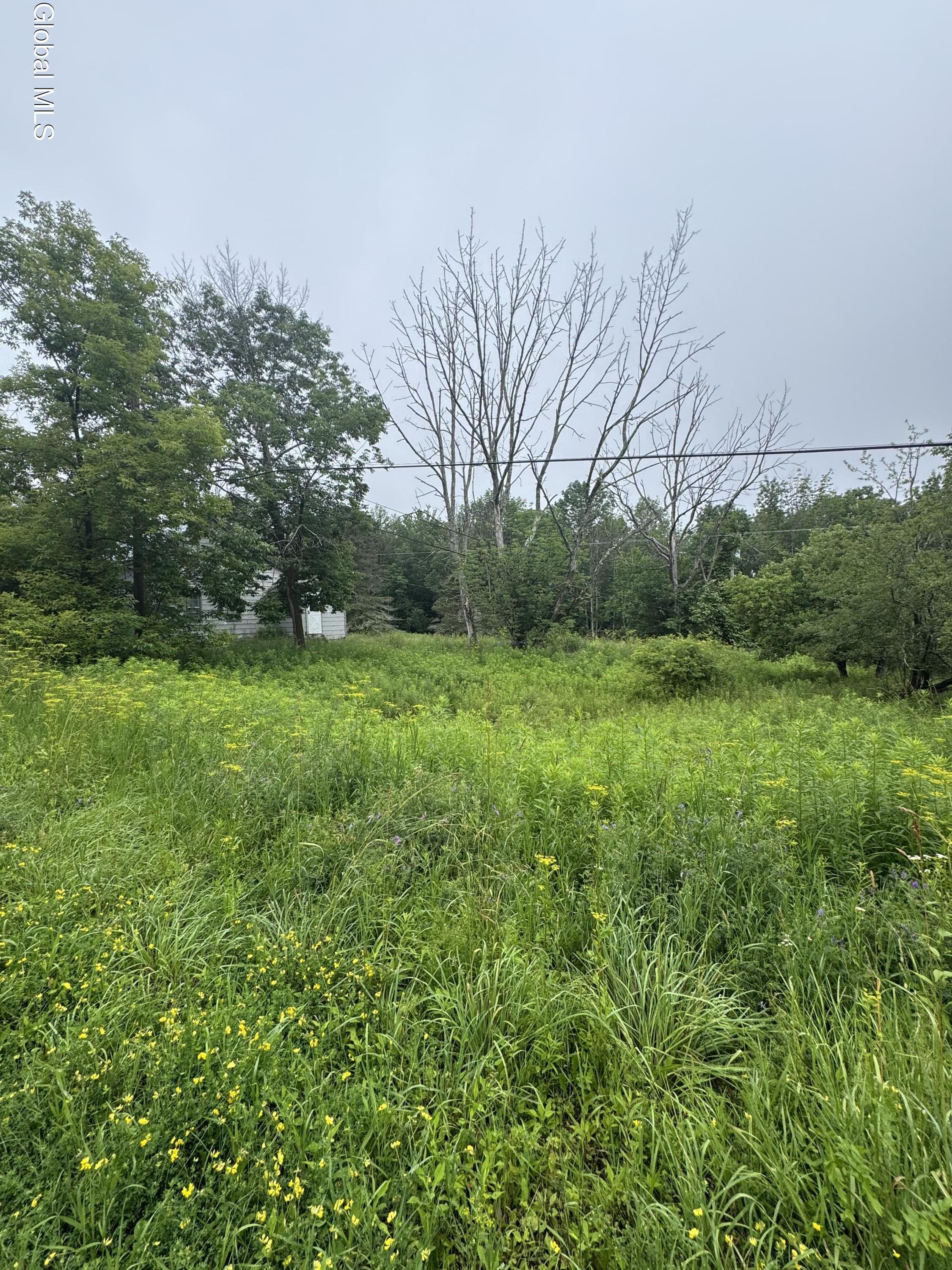 707 S Mountain Road Conesville NY 12076