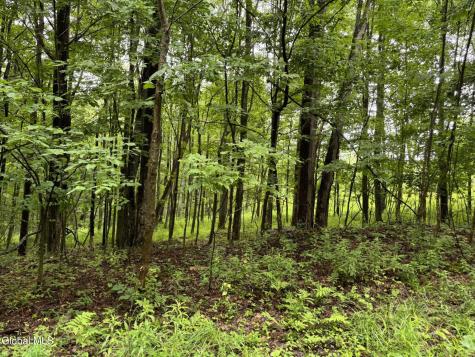 707 S Mountain Road Conesville NY 12076