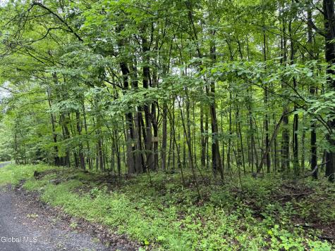 707 S Mountain Road Conesville NY 12076