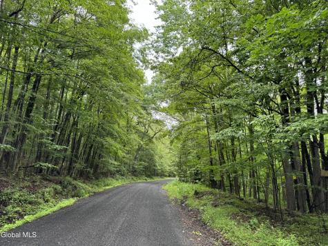 707 S Mountain Road Conesville NY 12076