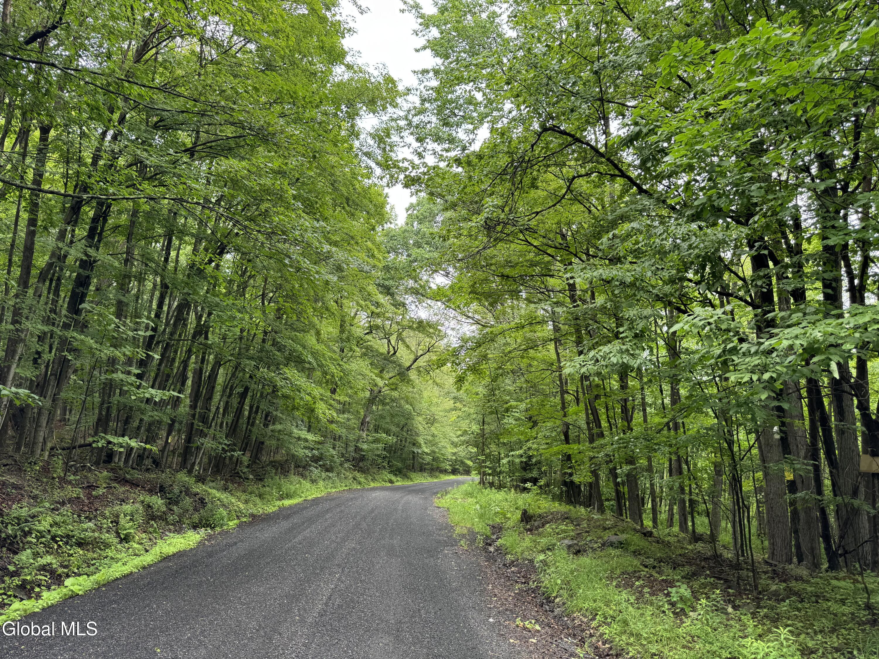 707 S Mountain Road Conesville NY 12076