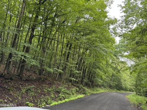 707 S Mountain Road Conesville NY 12076