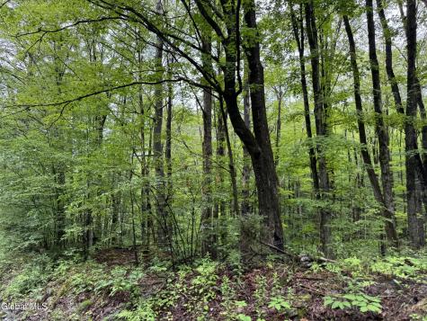 707 S Mountain Road Conesville NY 12076