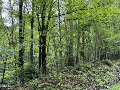 707 S Mountain Road Conesville NY 12076