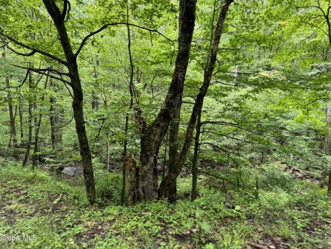 707 S Mountain Road Conesville NY 12076