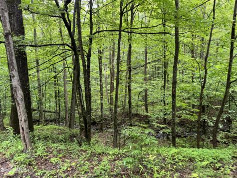 707 S Mountain Road Conesville NY 12076