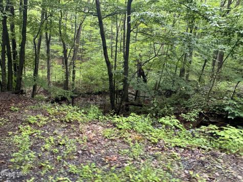 707 S Mountain Road Conesville NY 12076