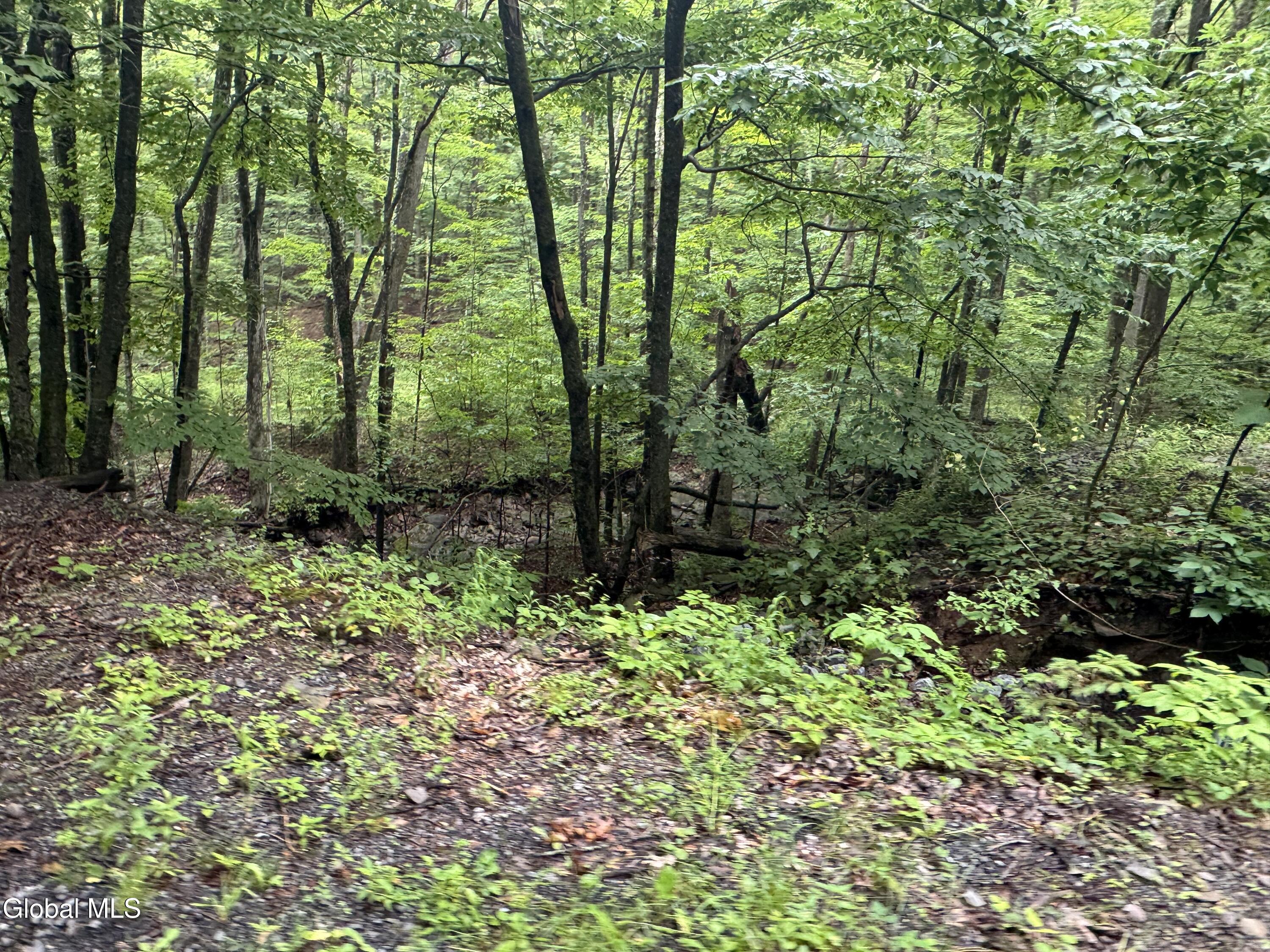 707 S Mountain Road Conesville NY 12076