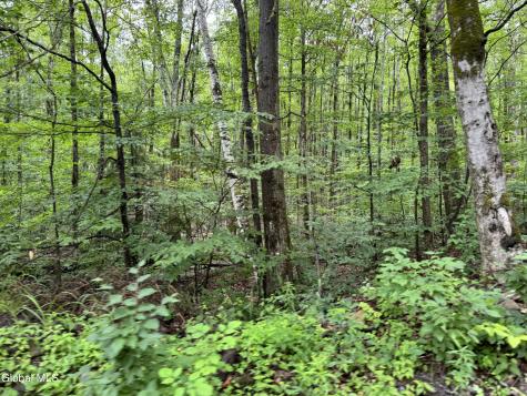 707 S Mountain Road Conesville NY 12076