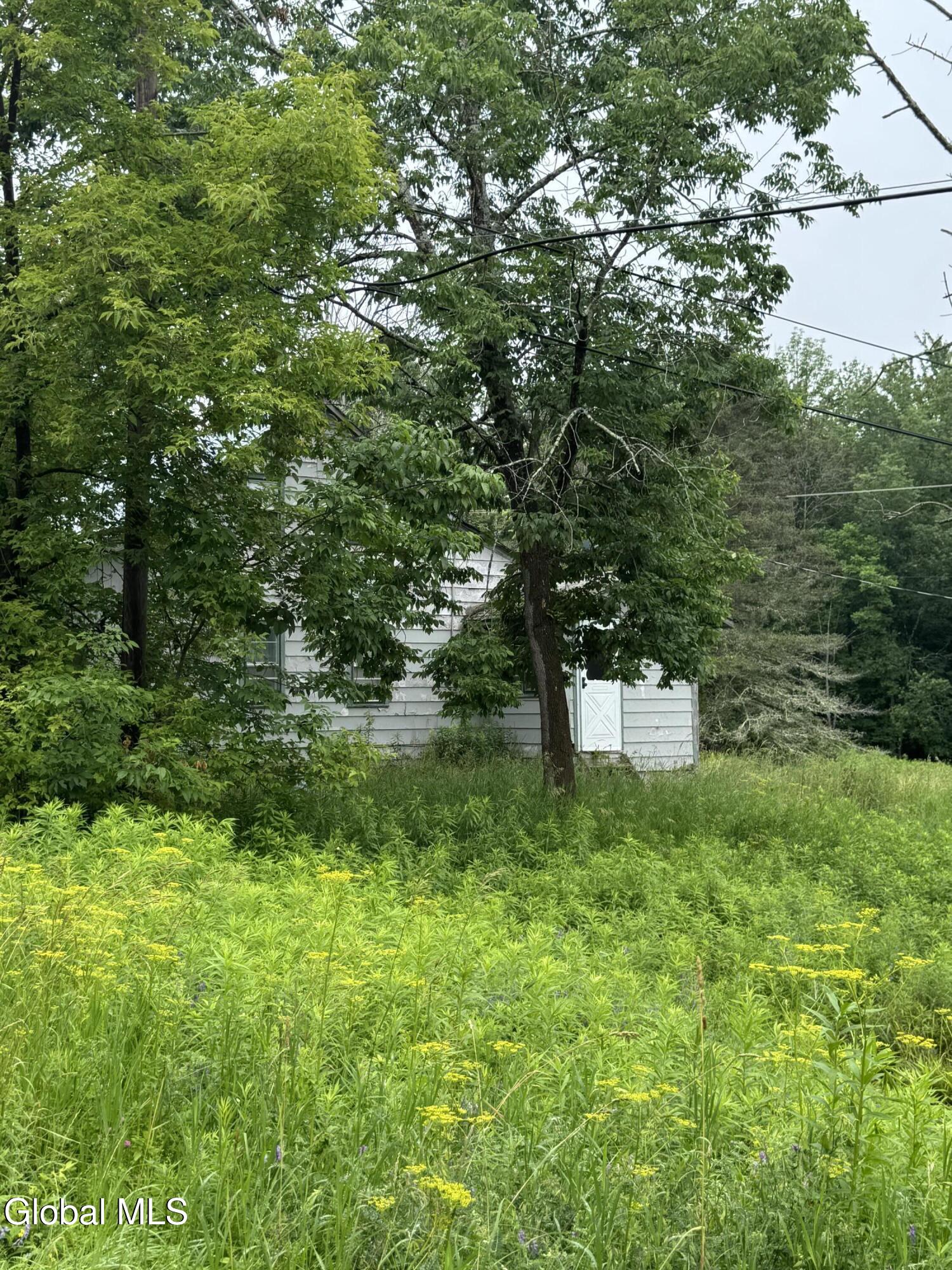 707 S Mountain Road Conesville NY 12076