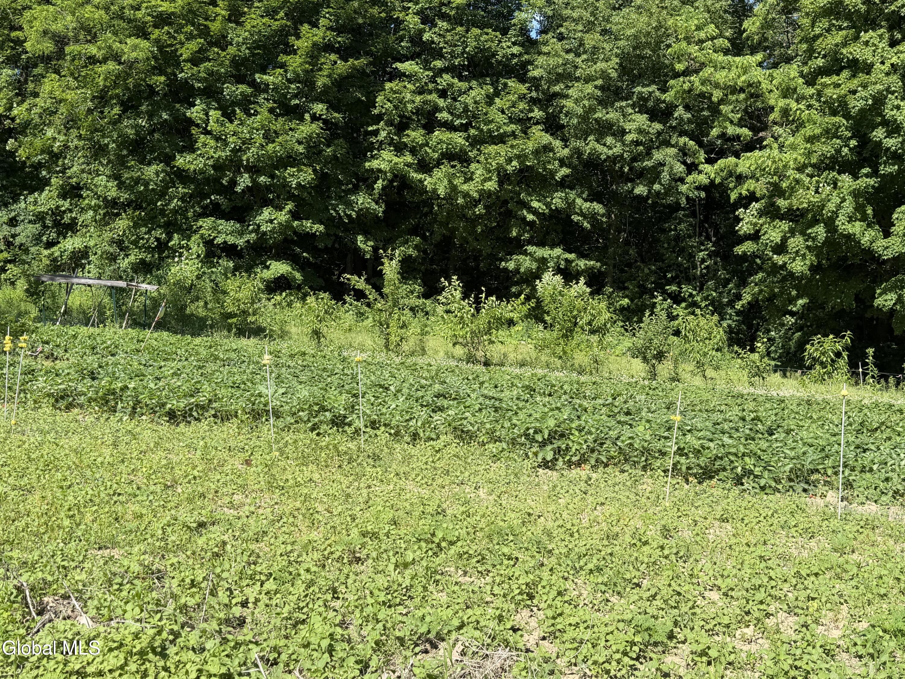 2056 Creek Road Crown Point NY 12928