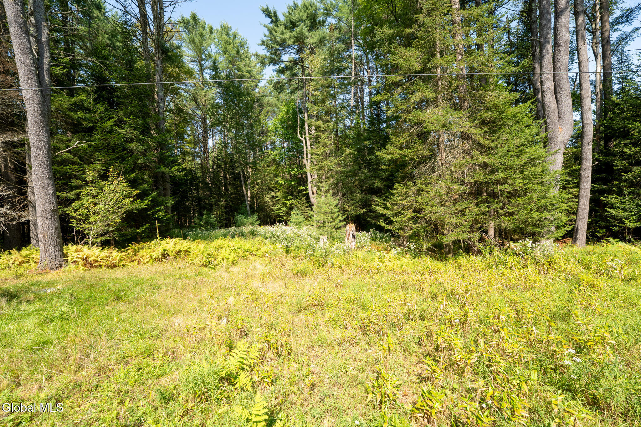179 Bear Creek Road Northville NY 12134