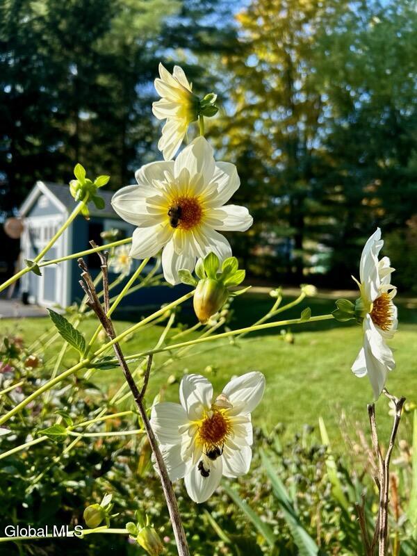 15 Dyer Switch Road Saratoga Springs NY 12866