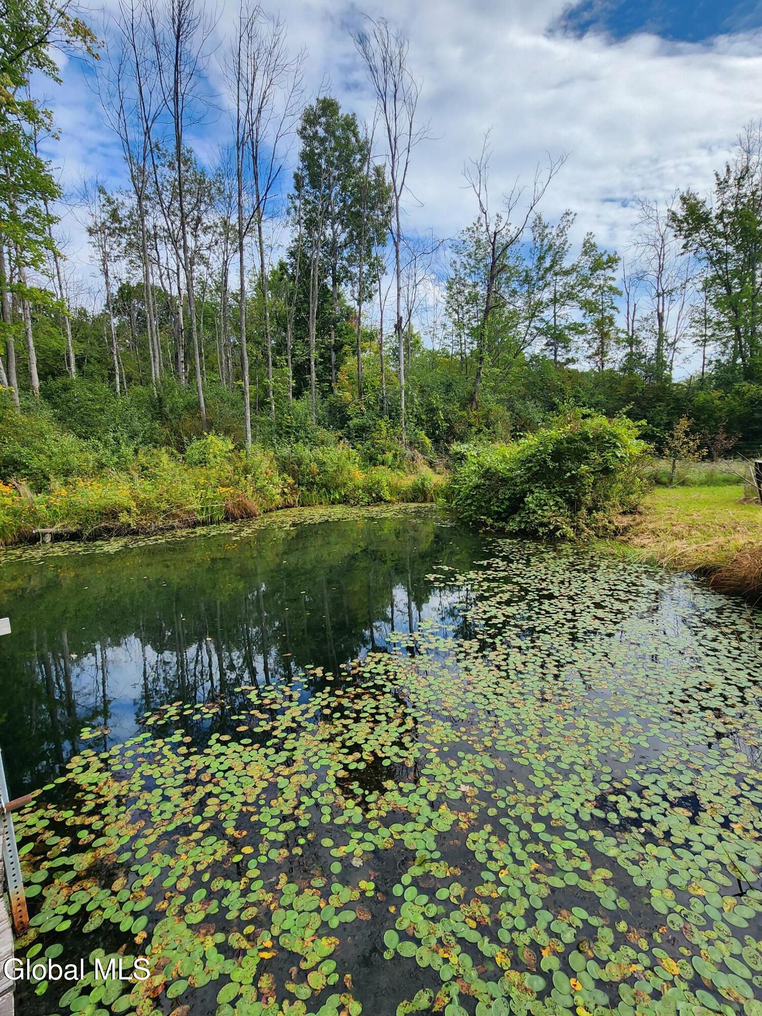 1416 Thousand Acres Road Duanesburg NY 12053