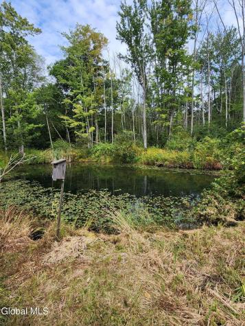 1416 Thousand Acres Road Duanesburg NY 12053